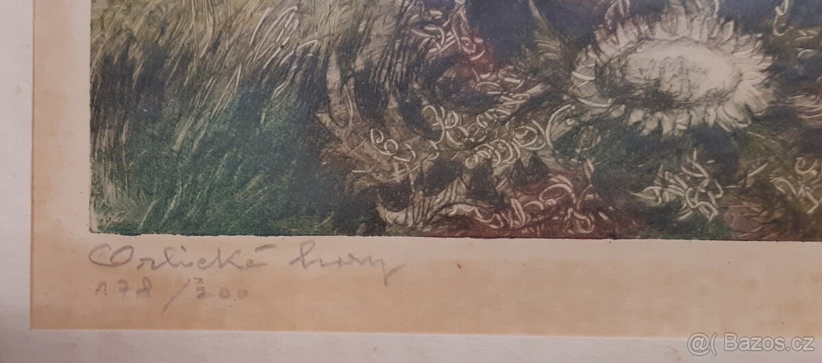 Obraz originál litografie Fusek Otto " Orlické hory " - 4