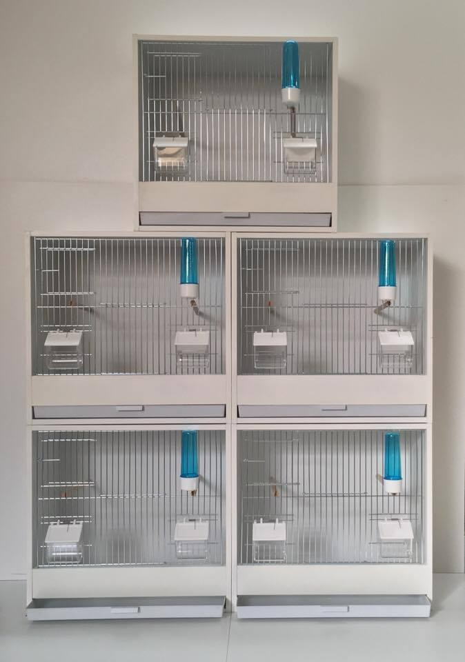 Levné bednové klece z bílého lamina - 4