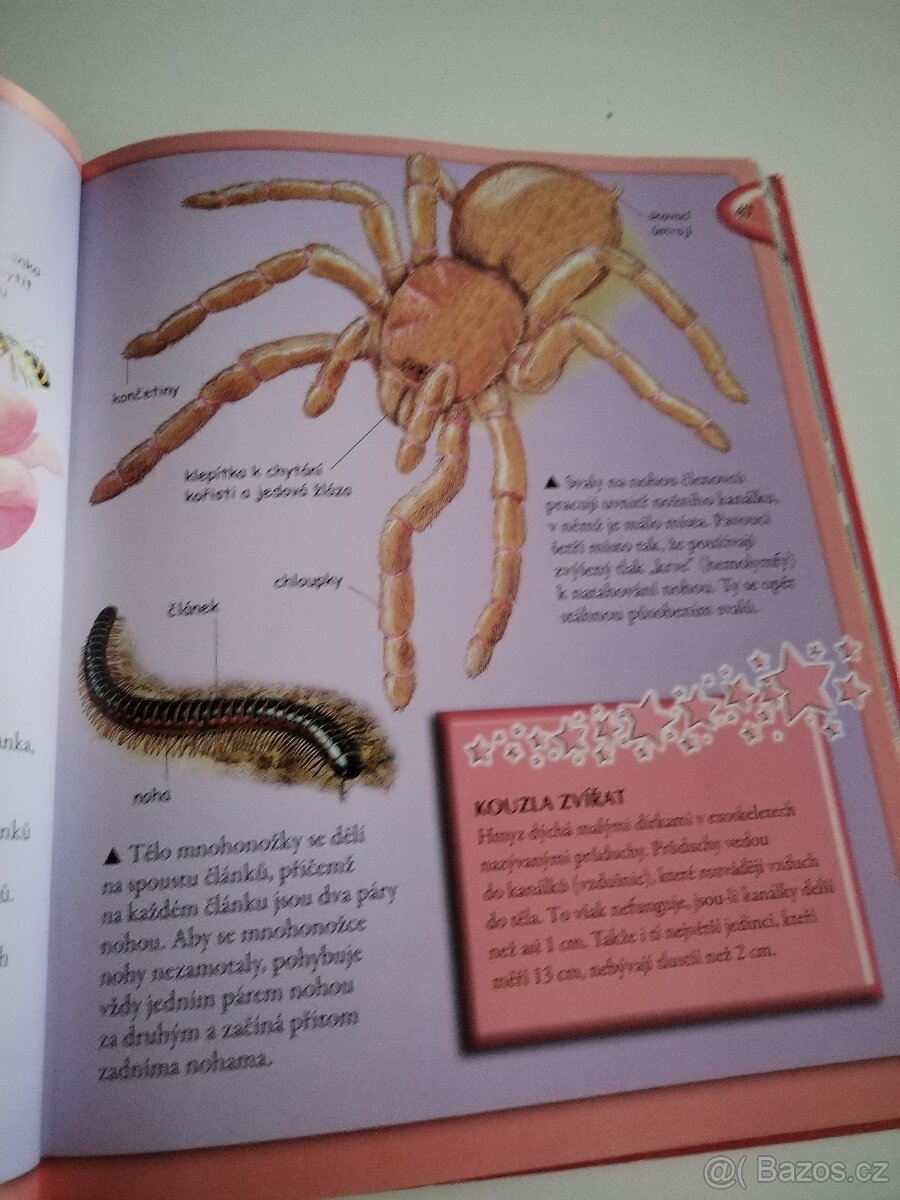 Vše co byste měli vědět o zvířatech - 4