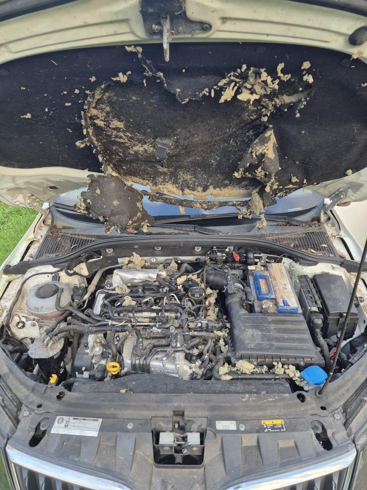 Osobní automobil škoda Octavia Combi - 4