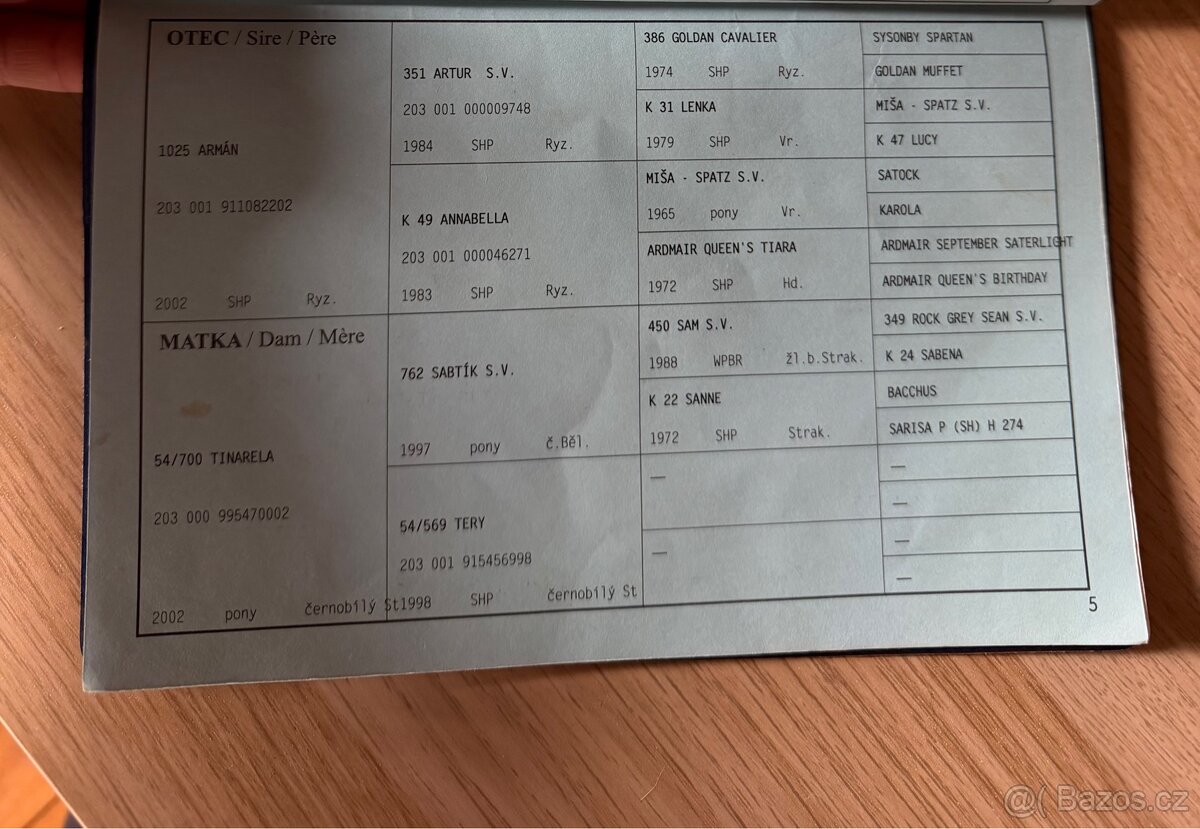 zlatá pony klisna - 4