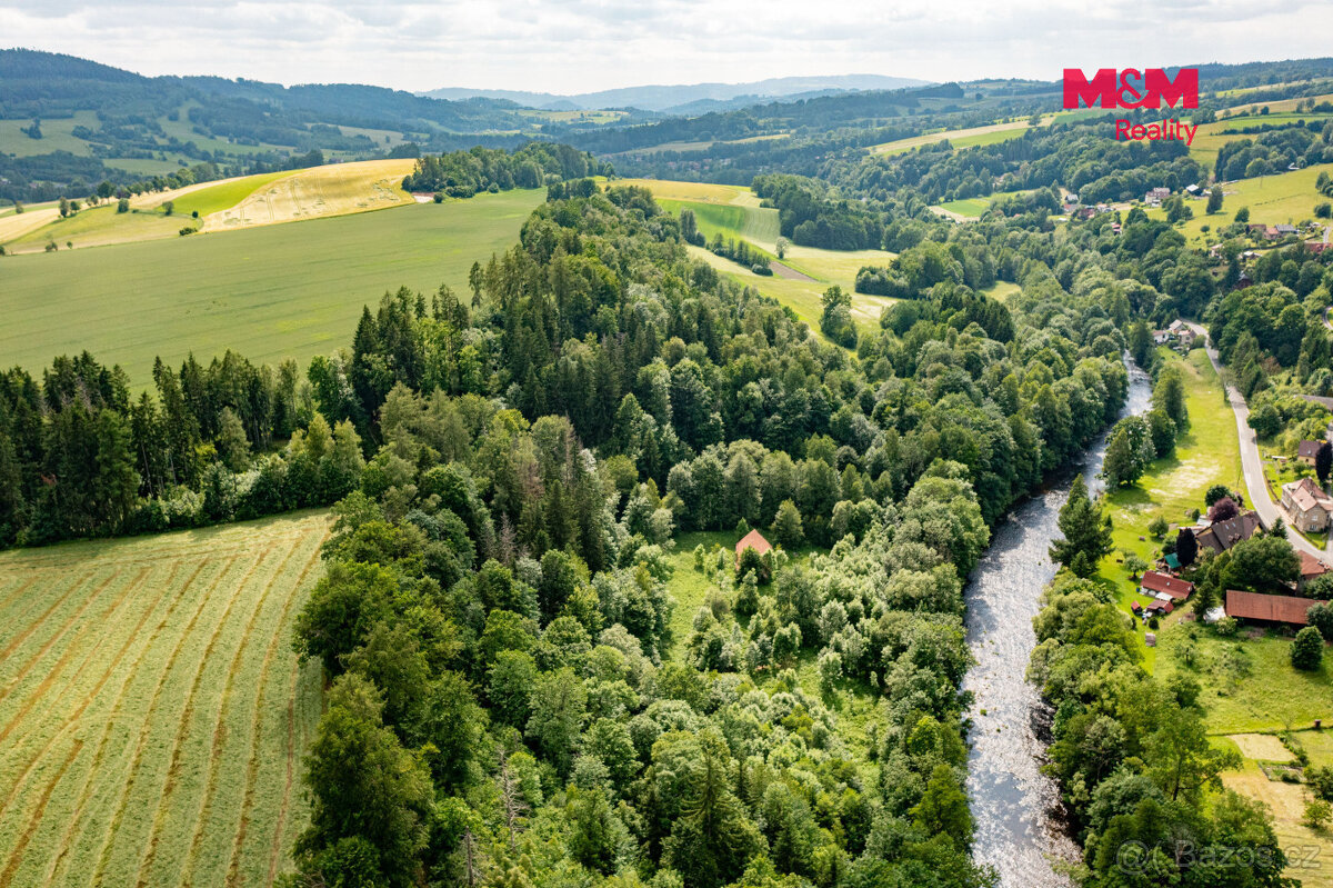 Prodej lesa, 36610 m², Peřimov - 4