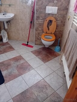 Podnájem podkrovního pokoje - 4