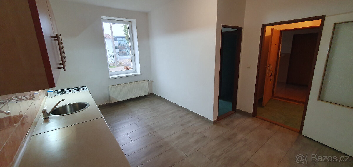 Pronájem bytu 1+1, Košťany - 4