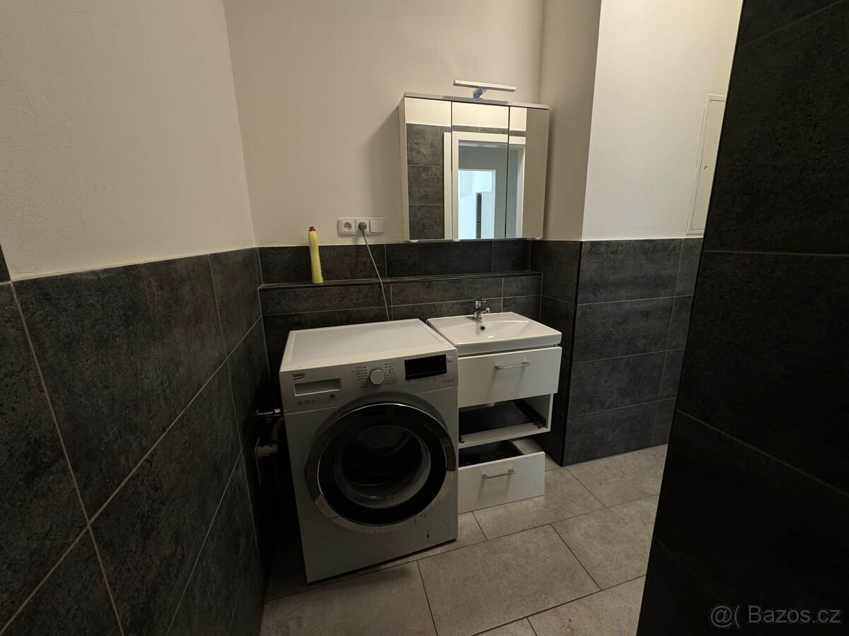 Pronájem - 4