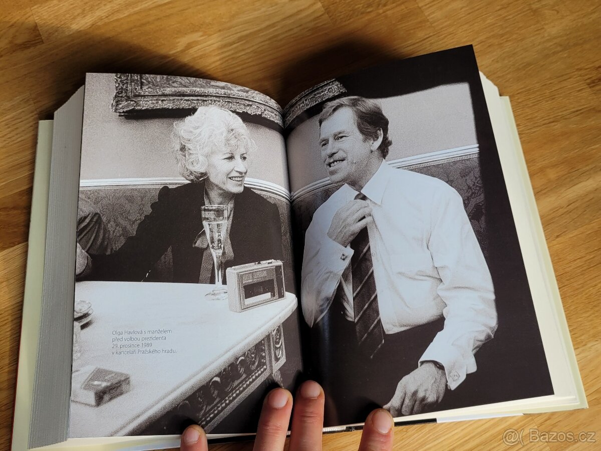 Suk, J.: Labyrintem revoluce, vydal Prostor 2009 - 4