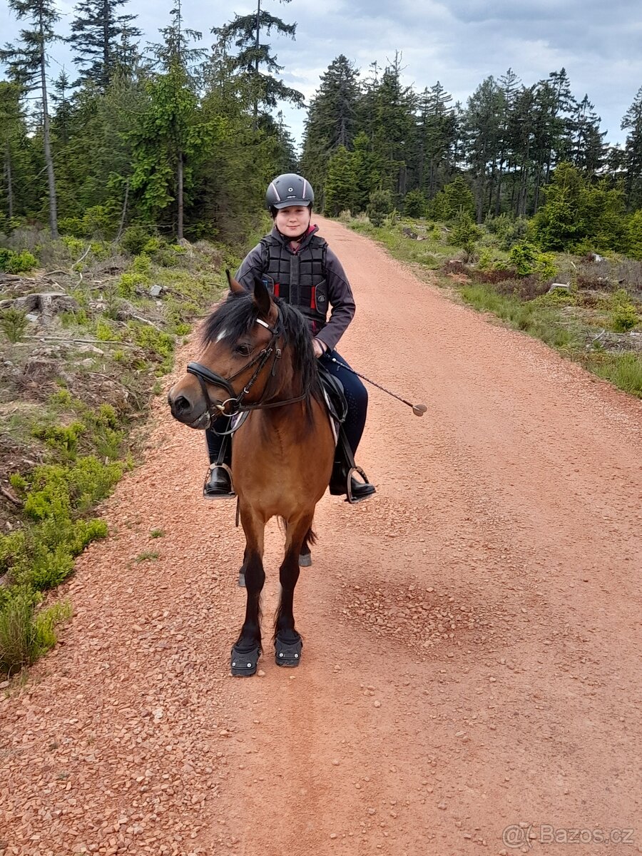 Hodná pony klisna kat. A - 4