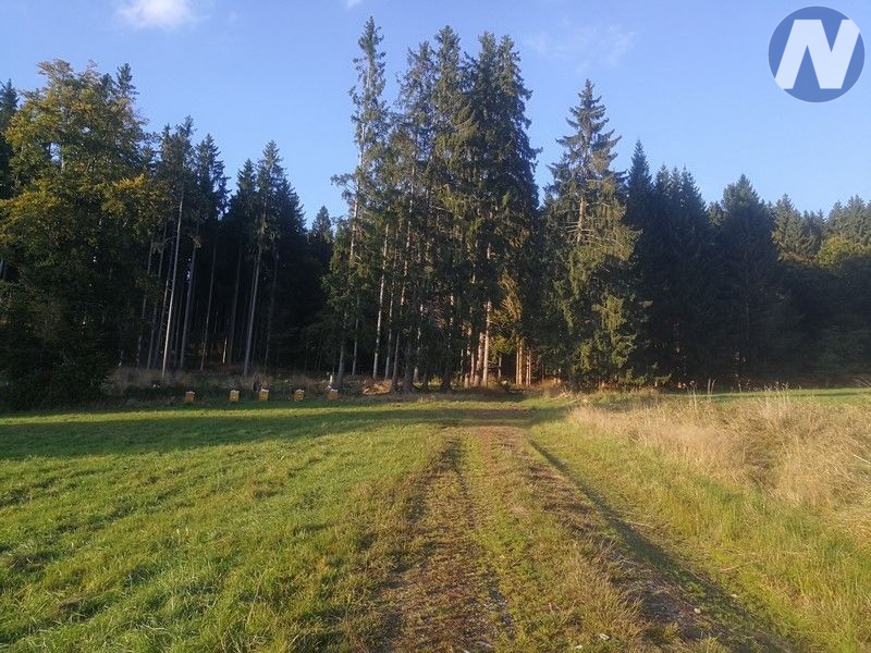 Záhvozdí, pozemek na Šumavě - 4