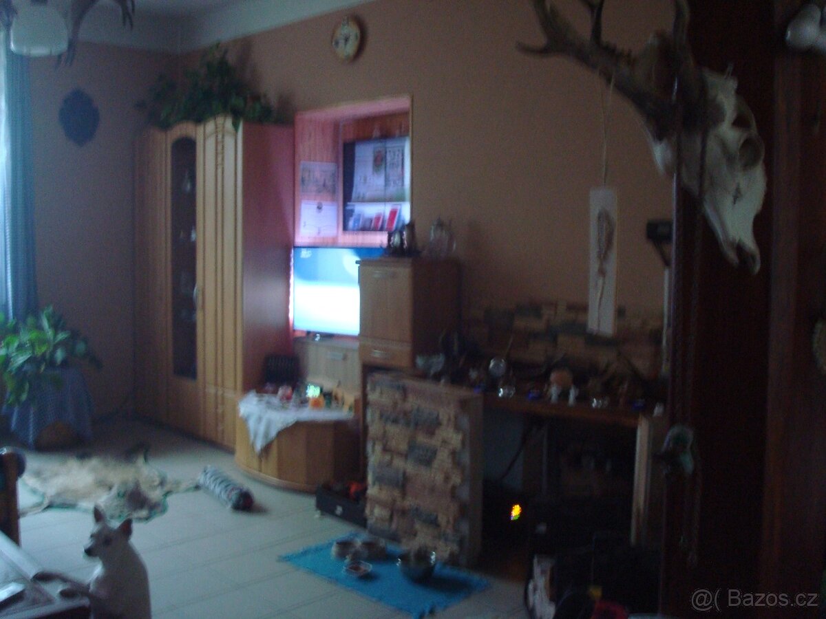 Prodej nebo výměna - 4