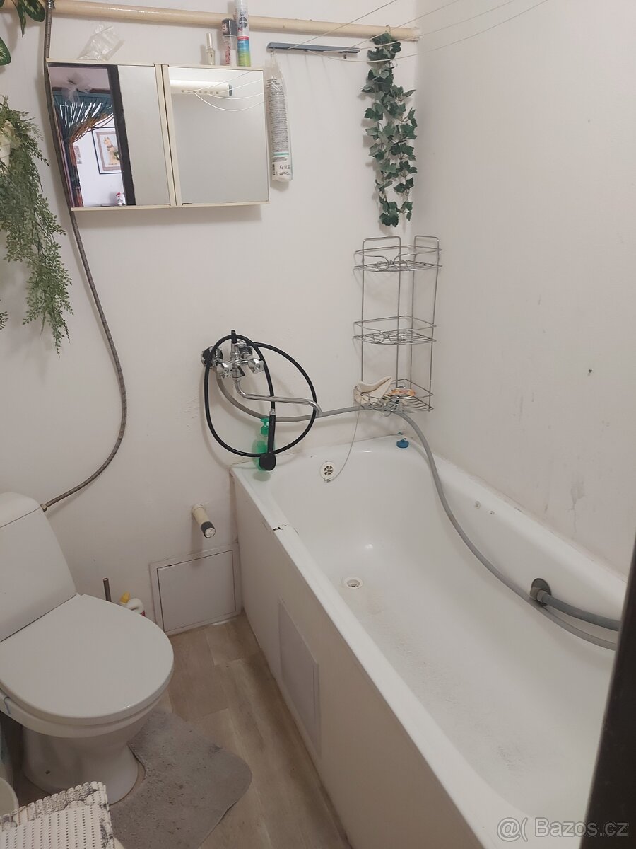 Pronájem - 4