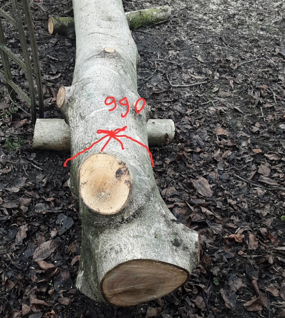 Prodej kmene ořešáku 2 - 4