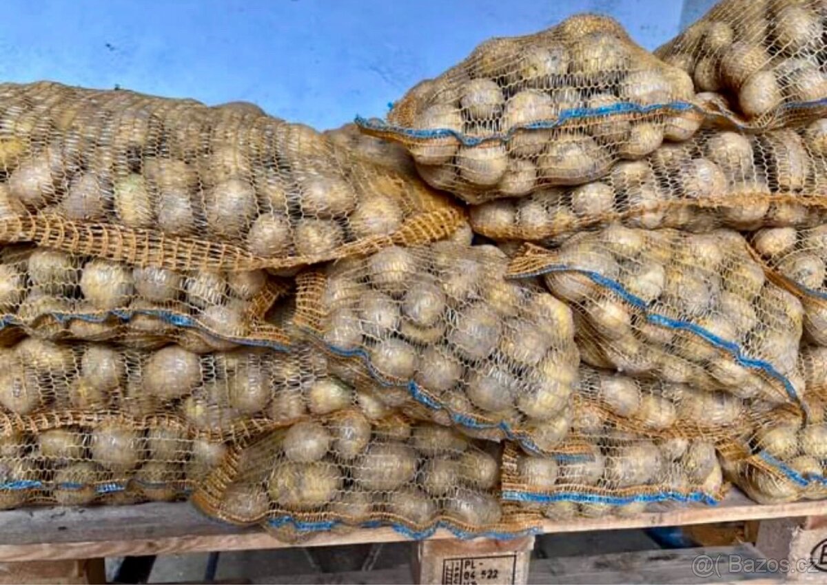 PRODÁME BRAMBORY, konzumní, krmné. - 4