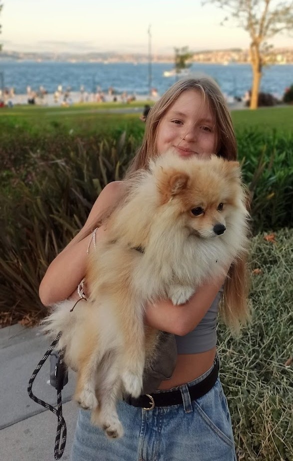 Pomeranian špic - 4