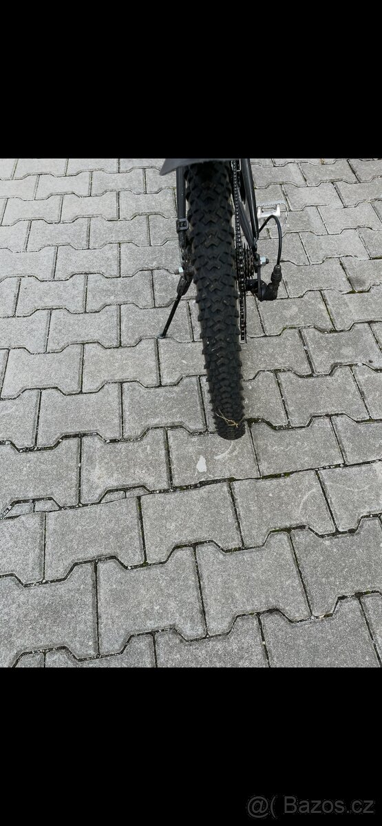 Kolo superior Wildcat - 4