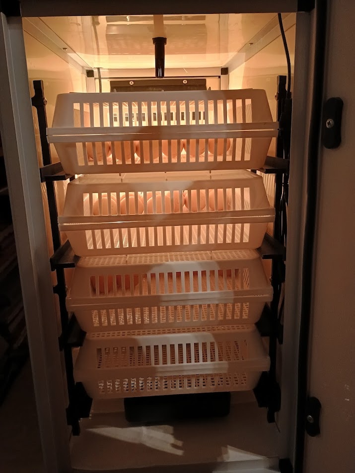 VONÉ MÍSTO V LÍHNI - 4