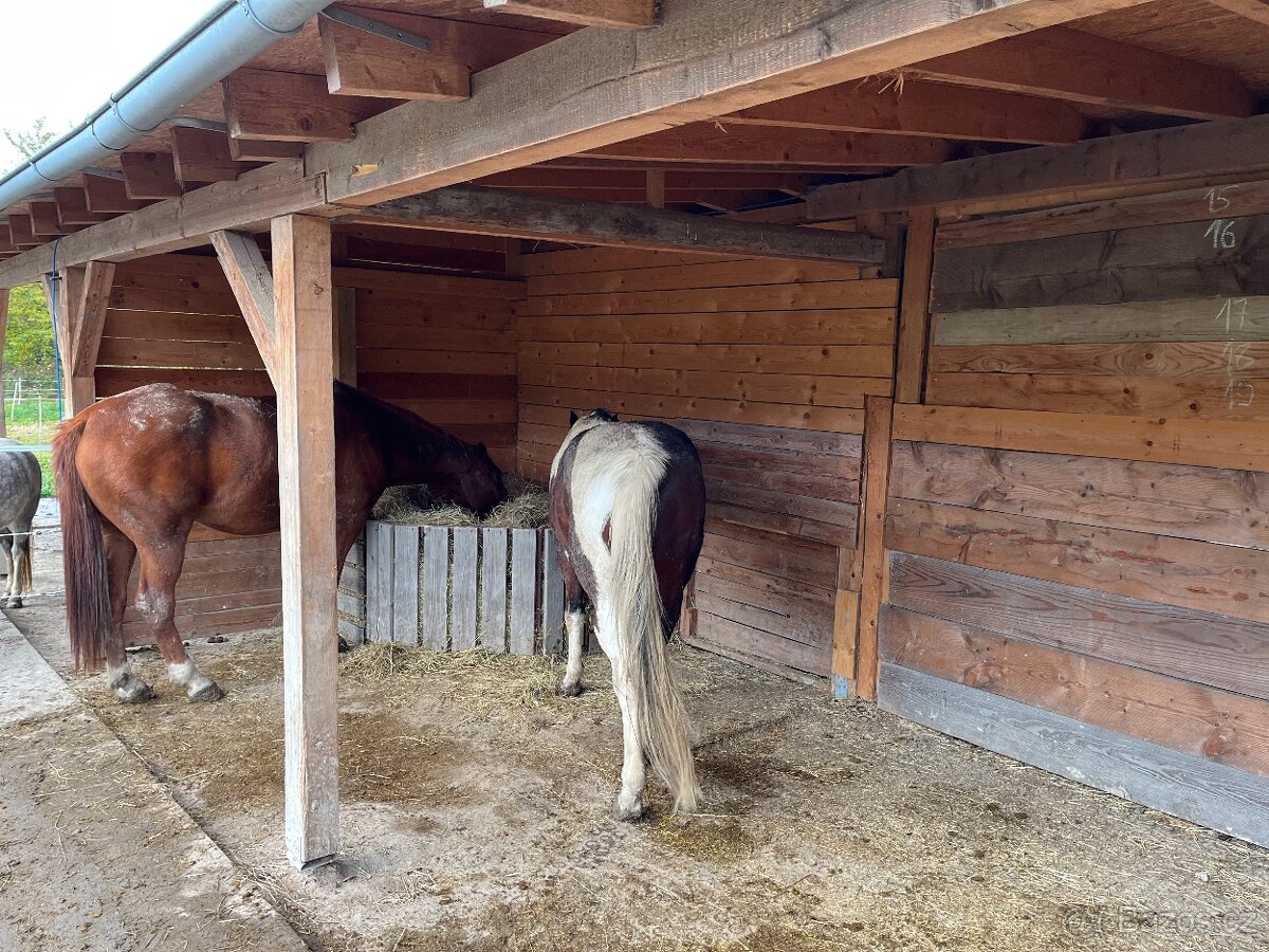 Rohové příkrmiště pro koně + síť - 4