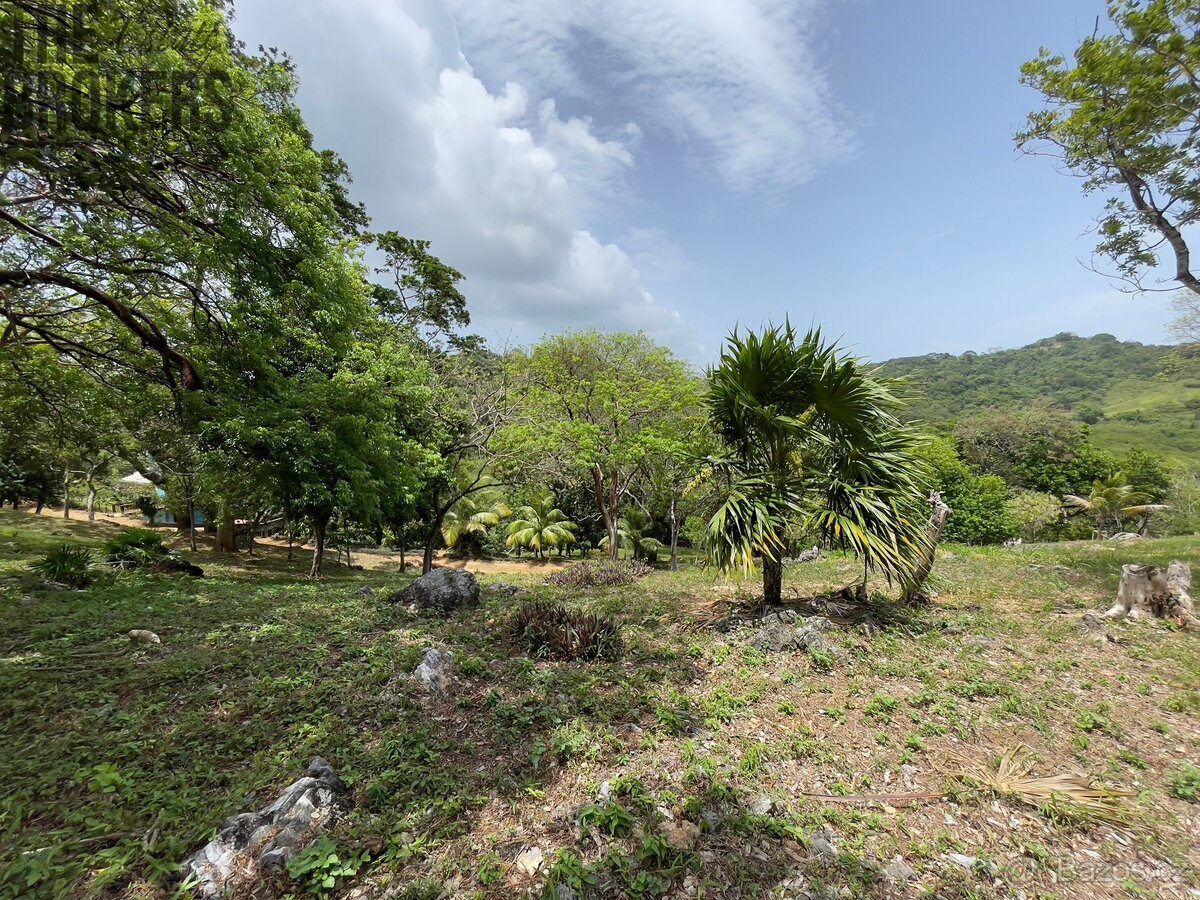 LOT 6 Bodden Bight Estate, Roatan - 4