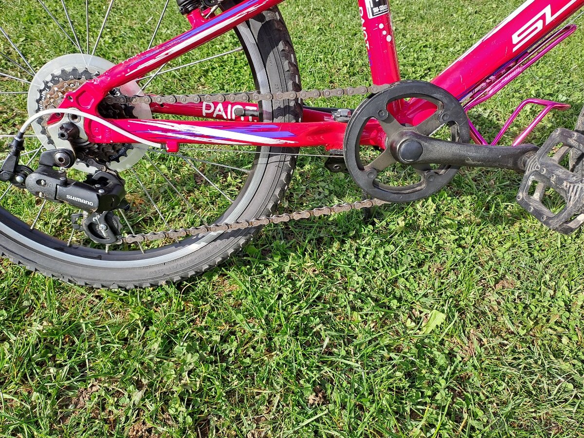 Superior Paint 20"- PĚKNÉ - 4