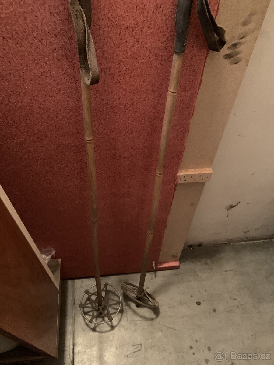 Originální lyžařské hole s kroužky - 4