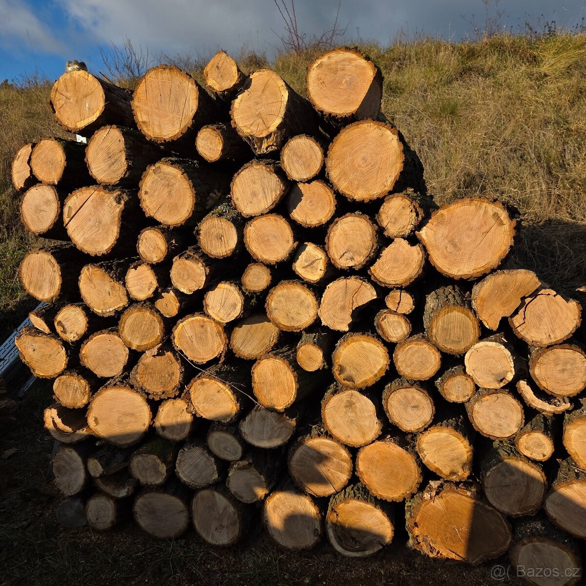 Palivové dřevo v metrech nebo štípané - 4
