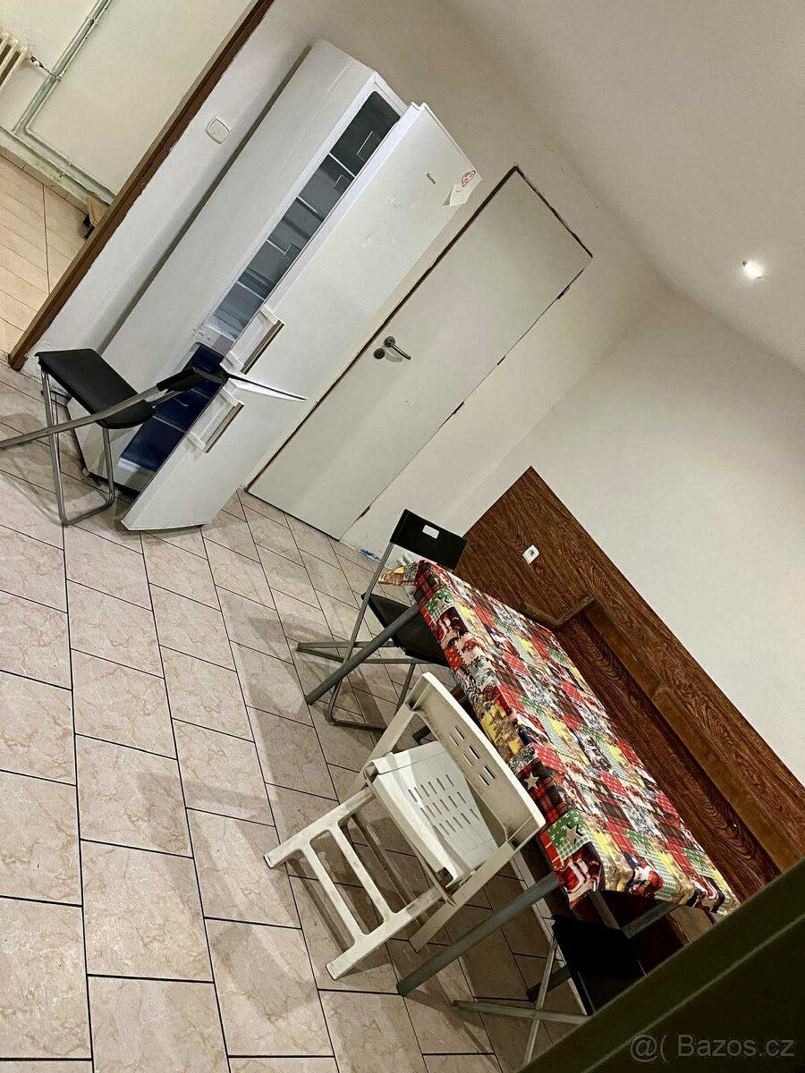 pronajmu byt 2+1 - 4