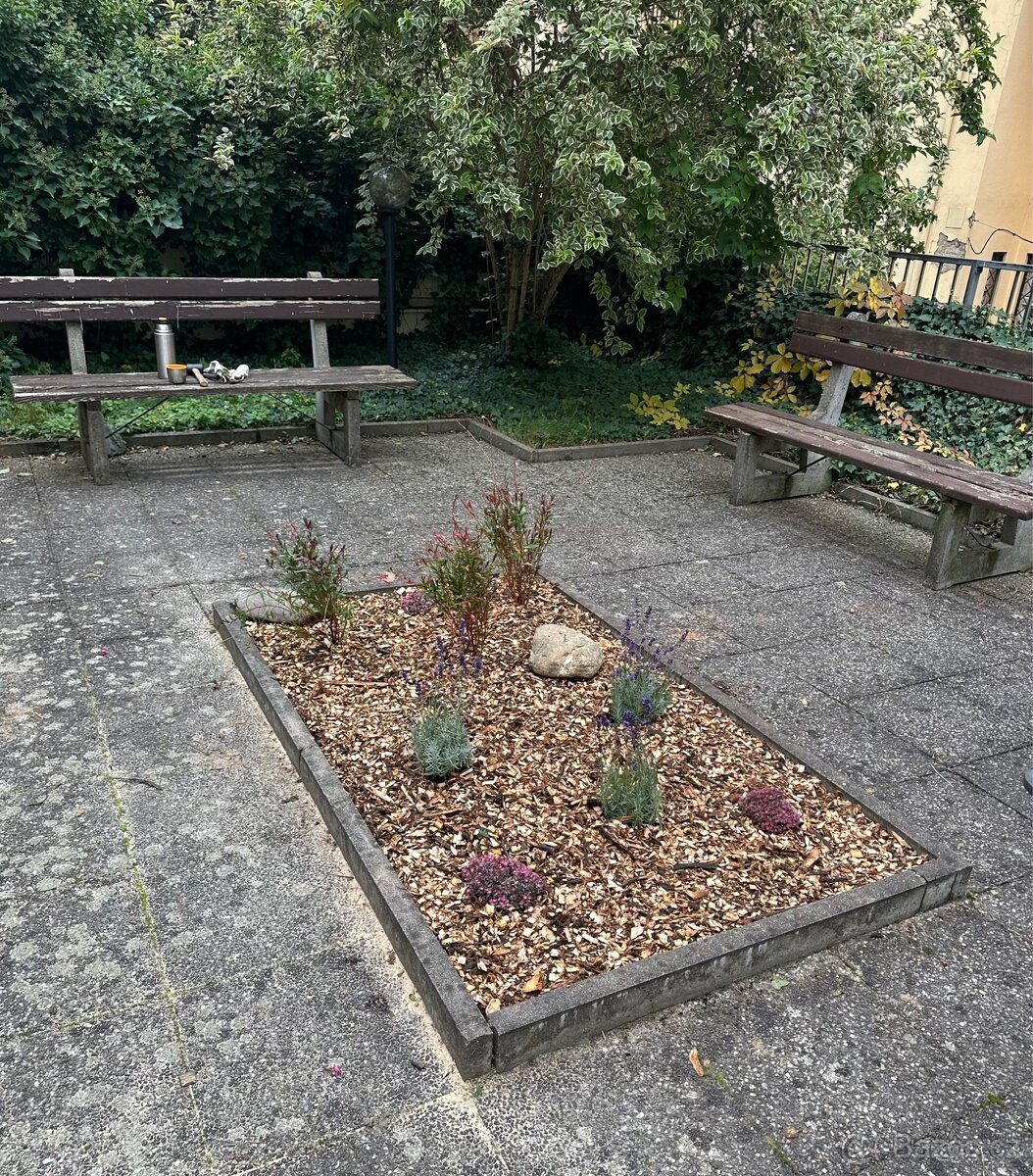 Dřevní stepka-Listnaté dřevo - 4