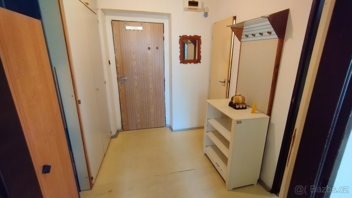 Pronájem garzonky - 4