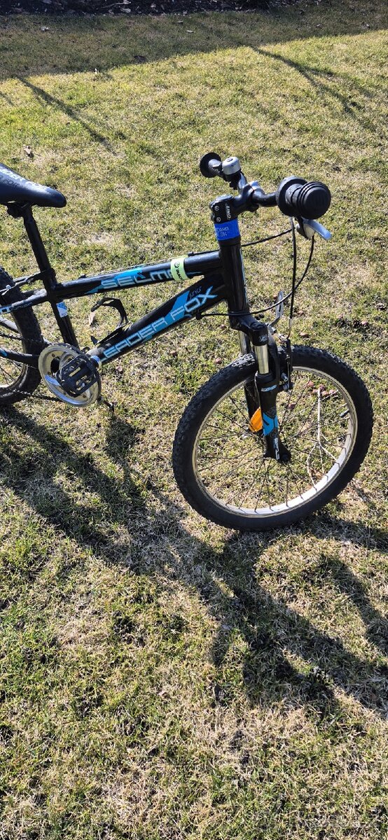 Leader Fox Selma 20" - 4