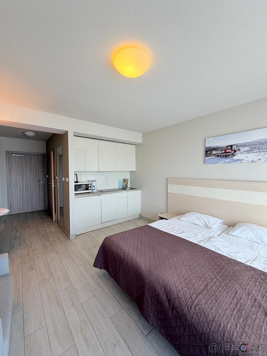 Prodej apartmánu 28 m², Dolní Morava, ev.č. 00741 - 4