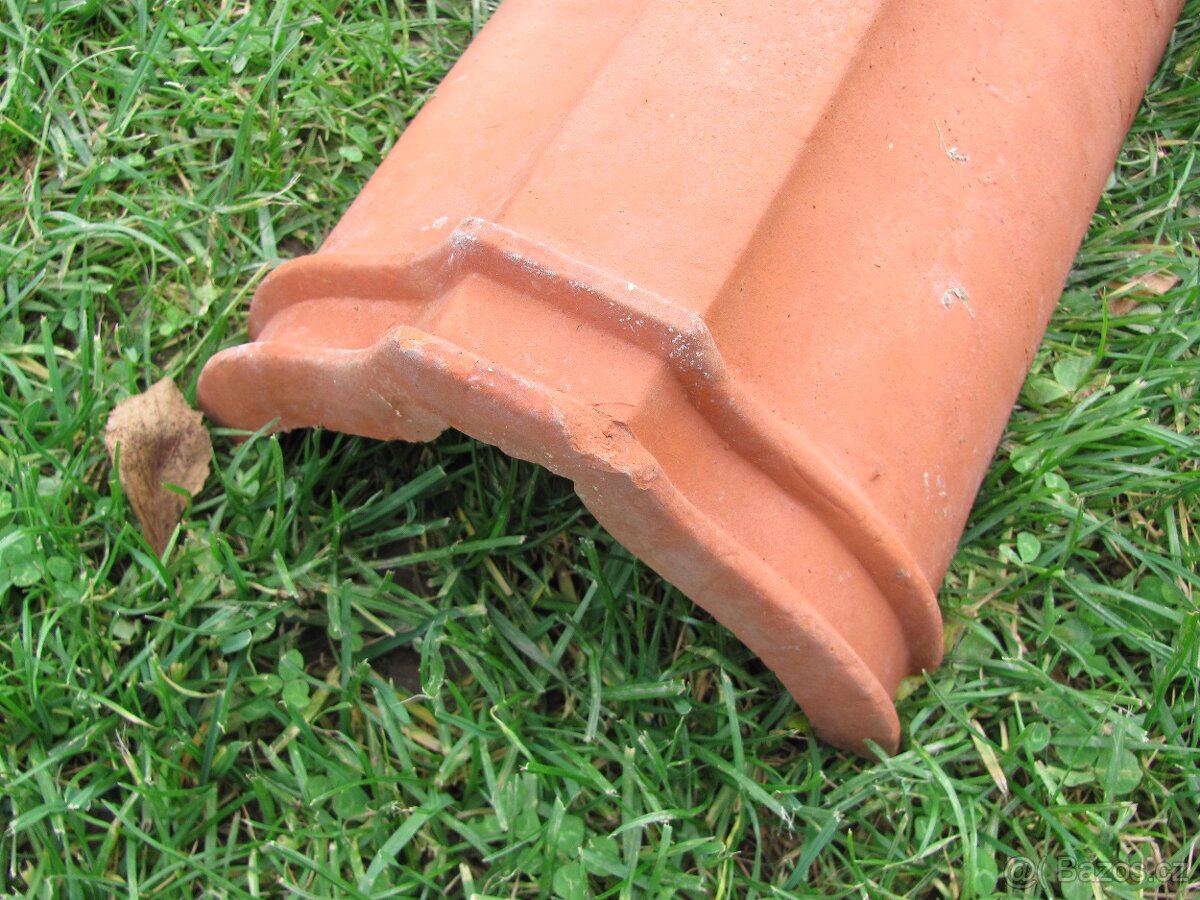 Hřebenáče / 8ks - 4