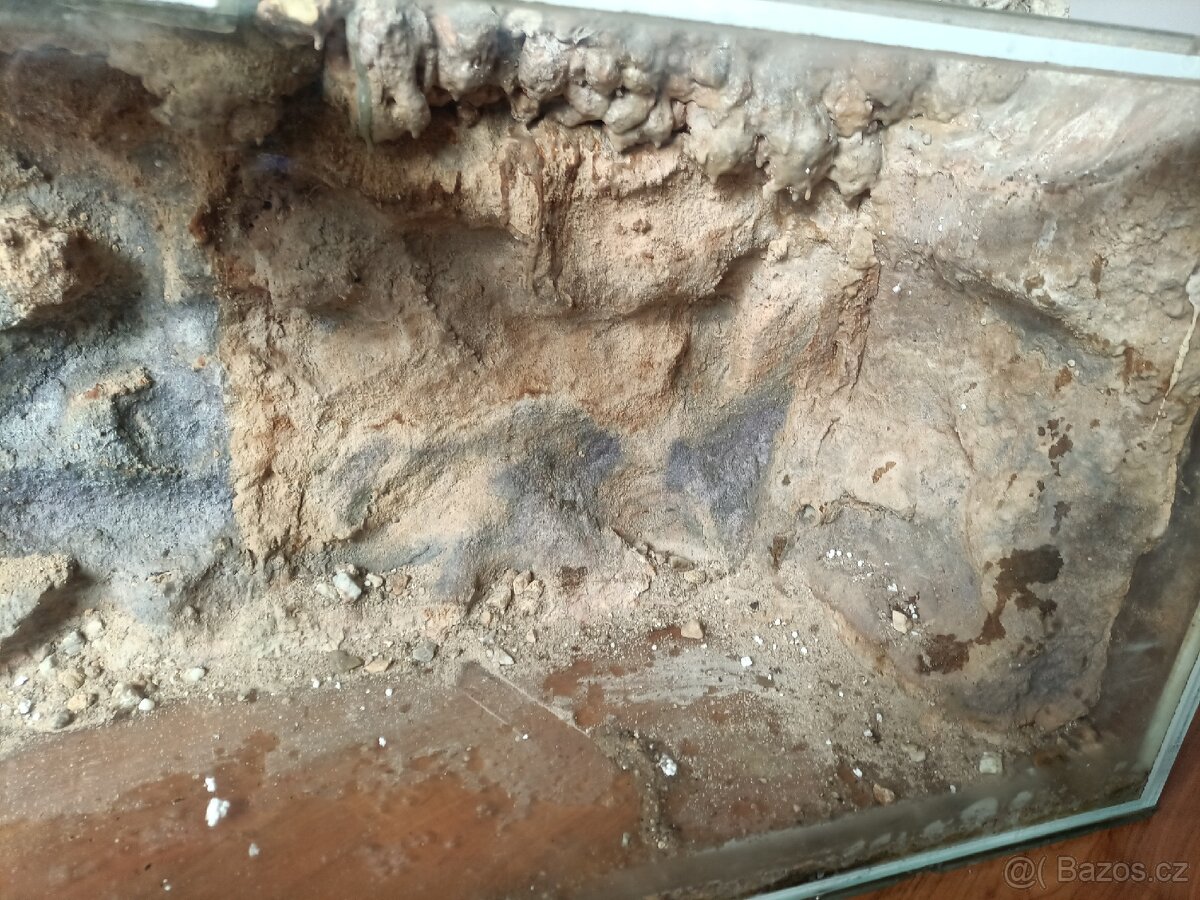 akvárium, terárium - 4