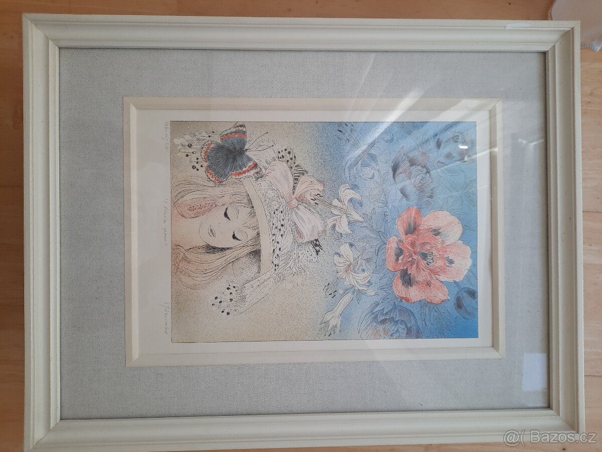 Obrazy Věry Tošenovské - 4