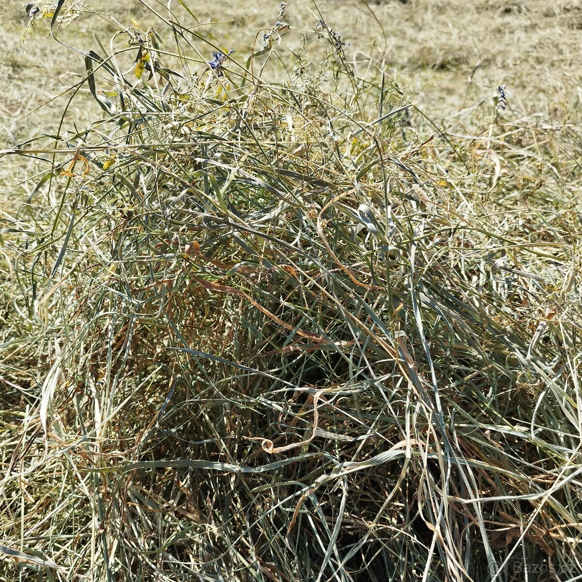 Prodám malé hranaté balíky sena - 4