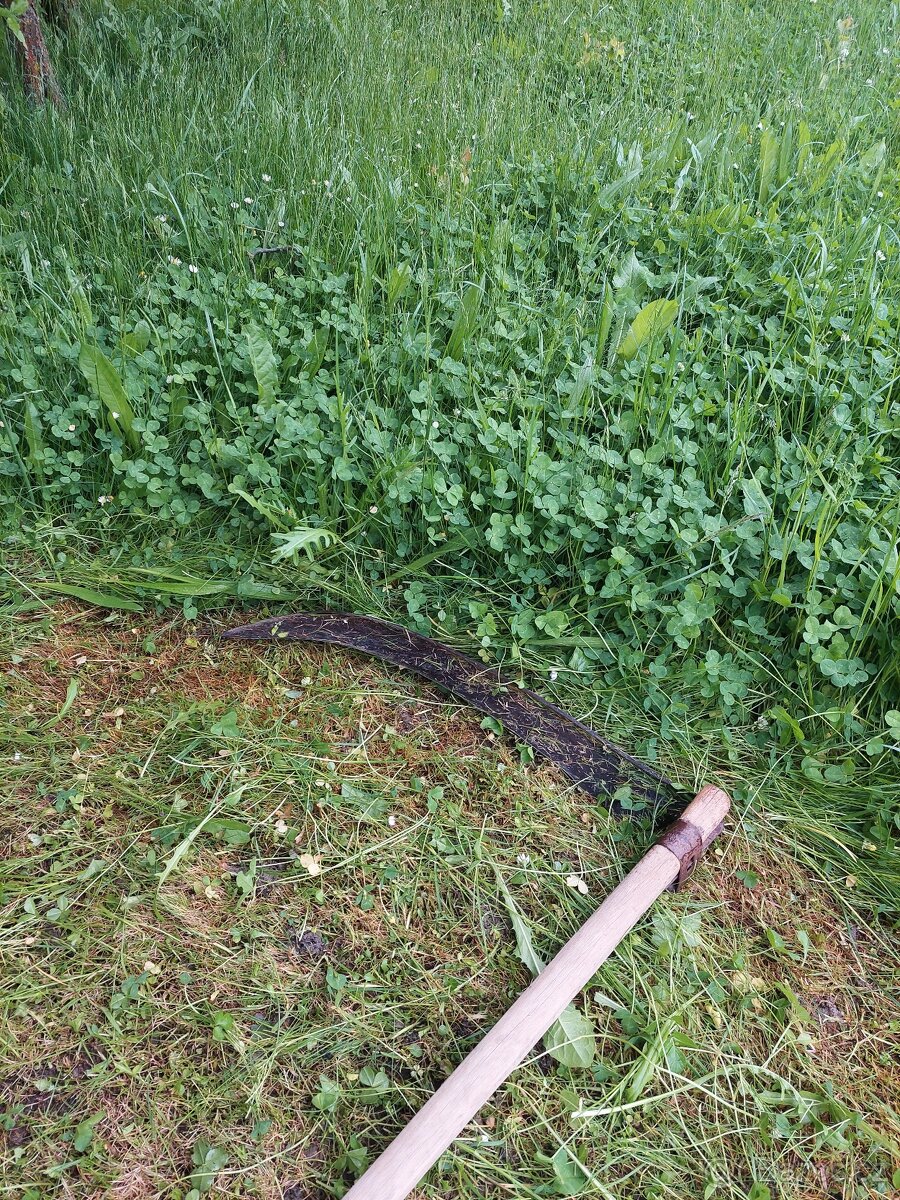 Domácí seno pro mazlíčky - 4