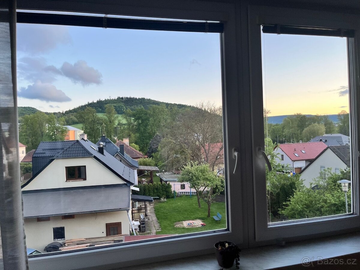 Prodej bytu 3+1 s garáží - 4