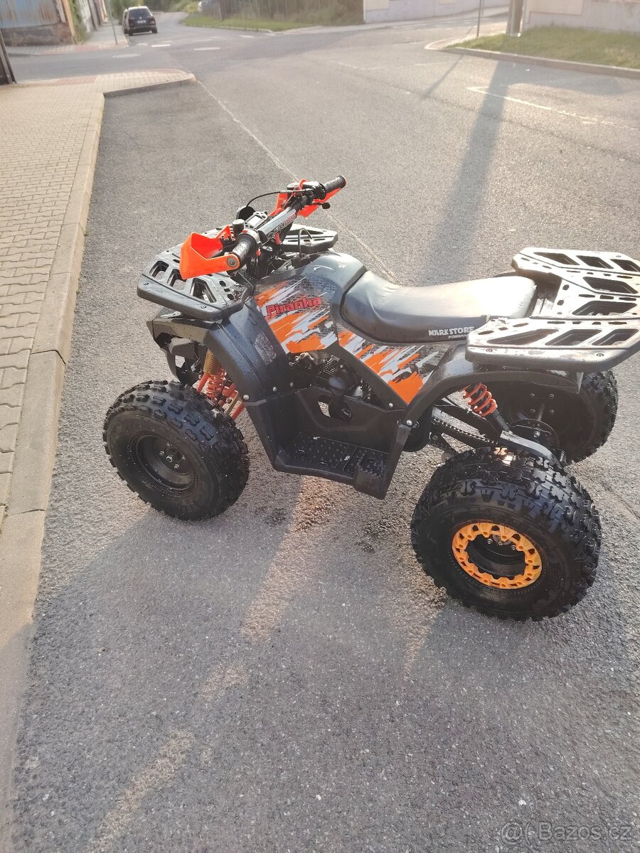 Pirana