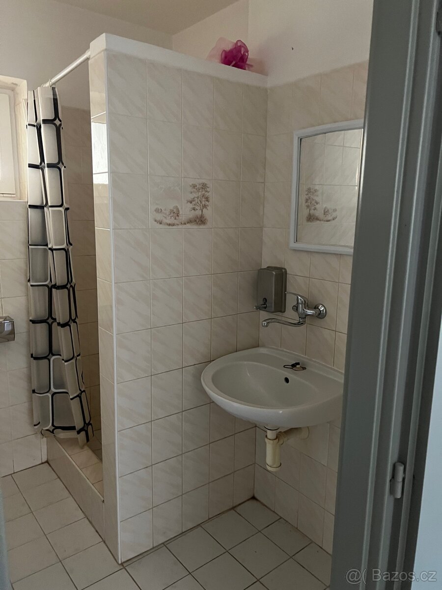 Pronájem bytových a nebytových prostor - 4