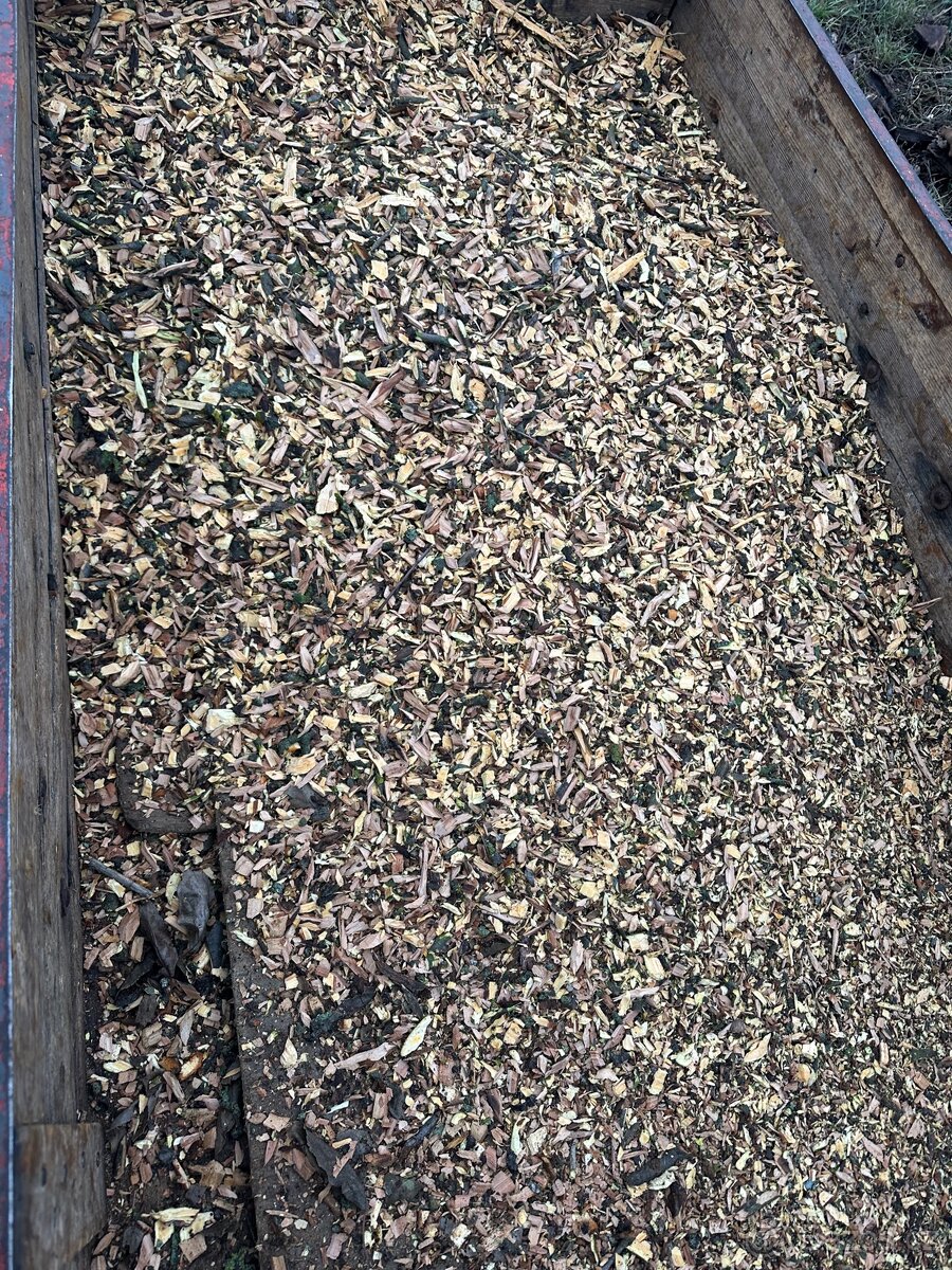 Drevni Stepka-Jabloň - 4