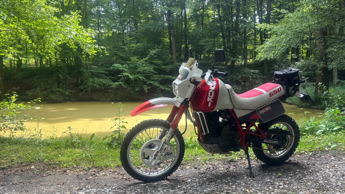 Suzuki DR650 Djebel - 4