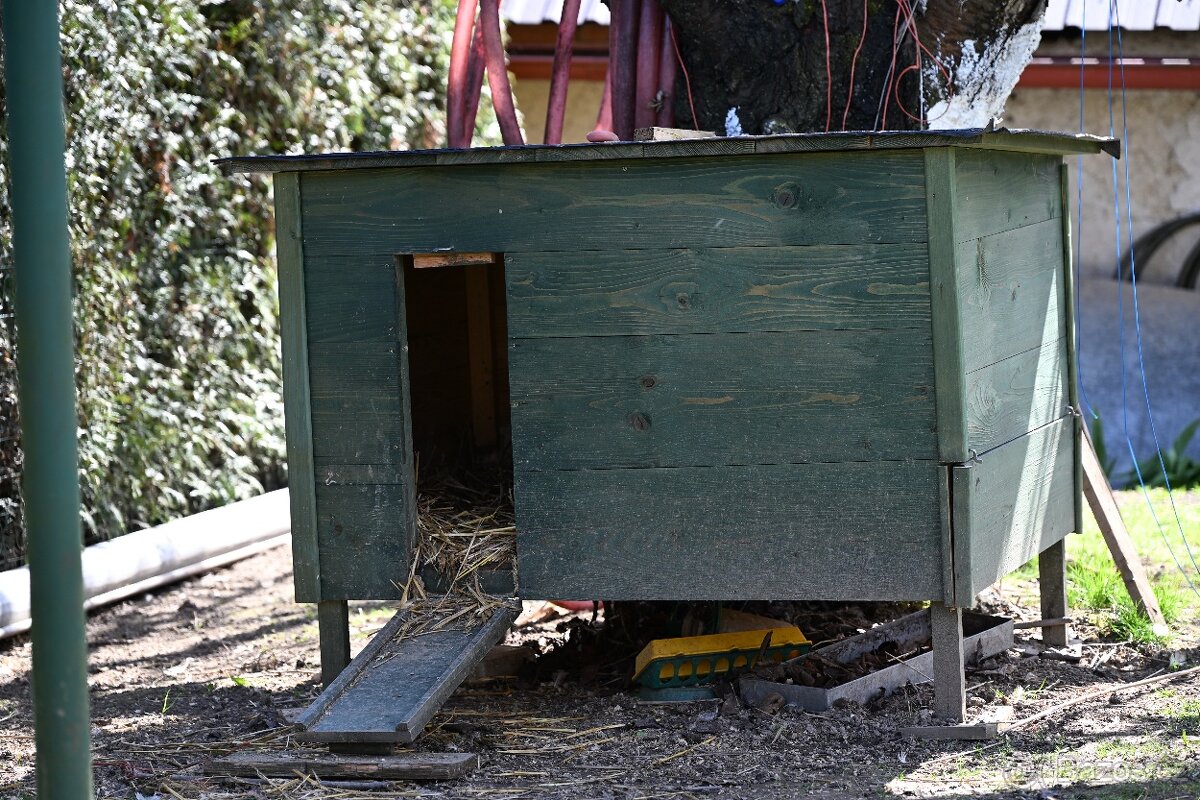 Indický běžec - 4