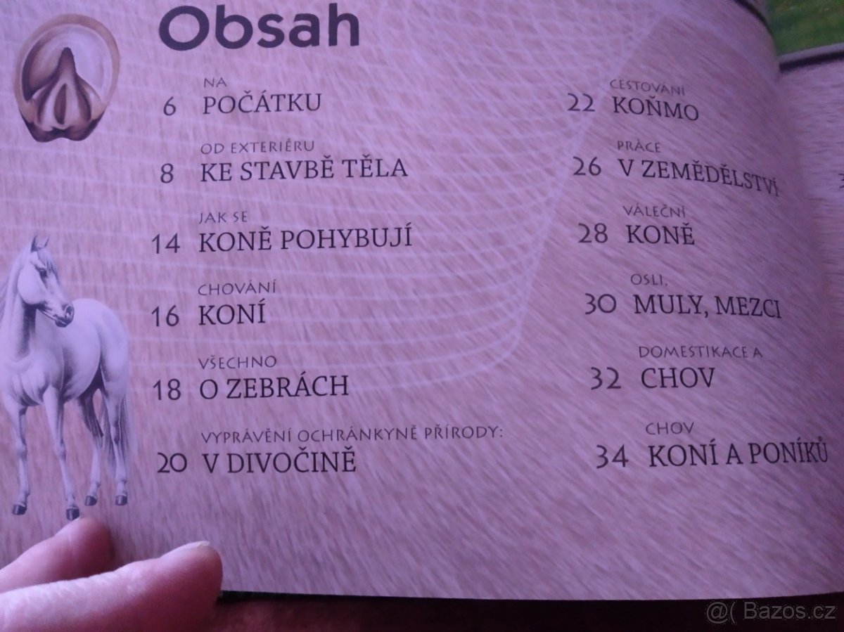 Kůň zvíře, které změnilo svět - 4