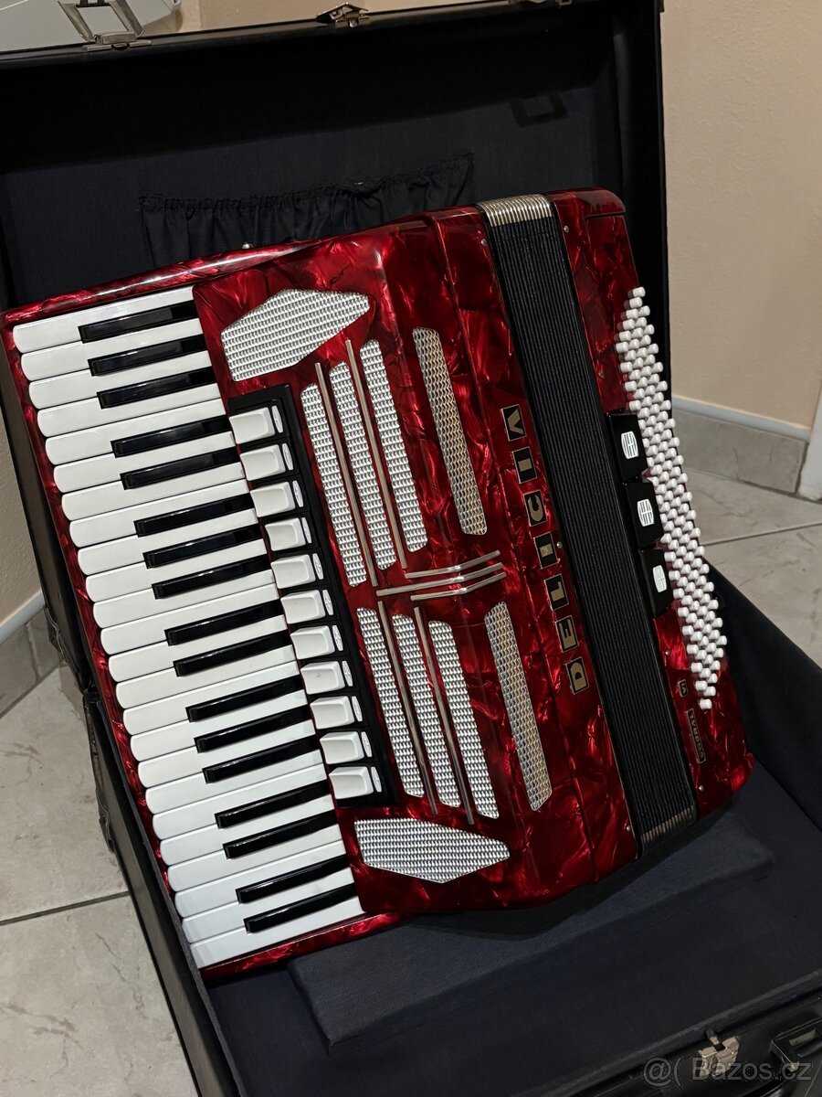 Akordeon Harmonika - 4