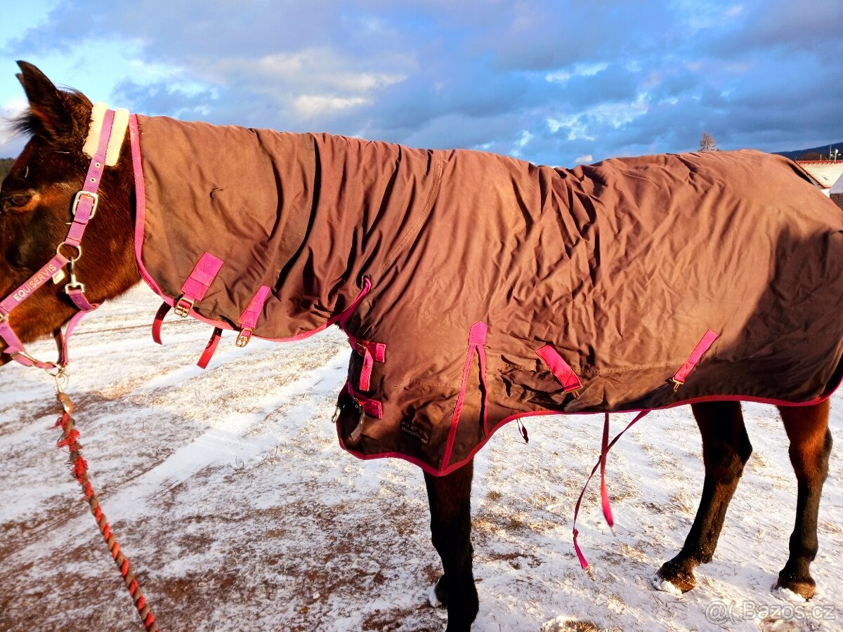 Výběhová termodeka - 4