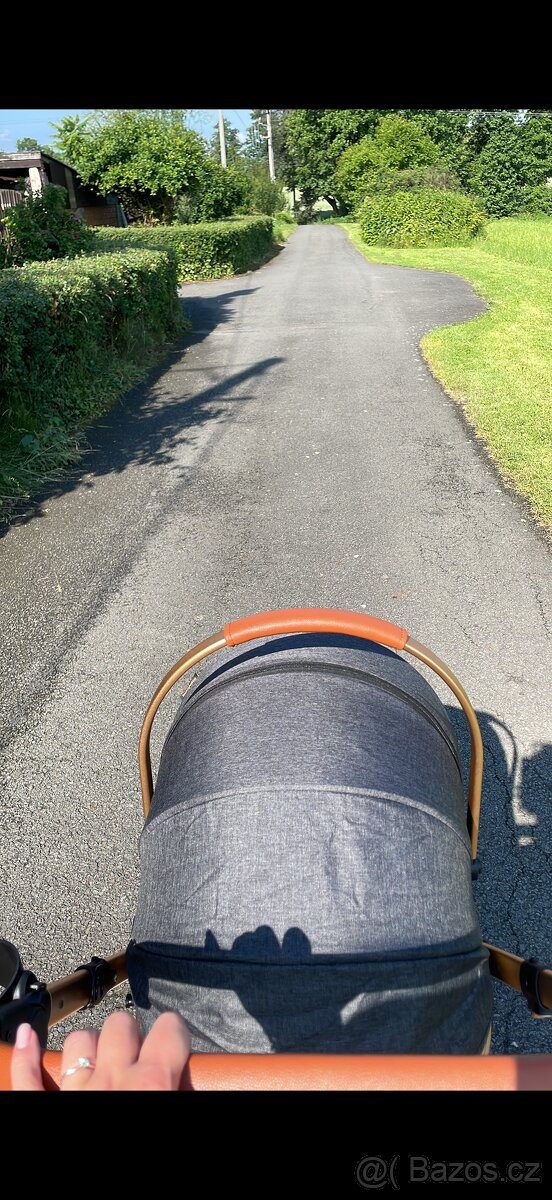 Kočárek na zvířata - 4