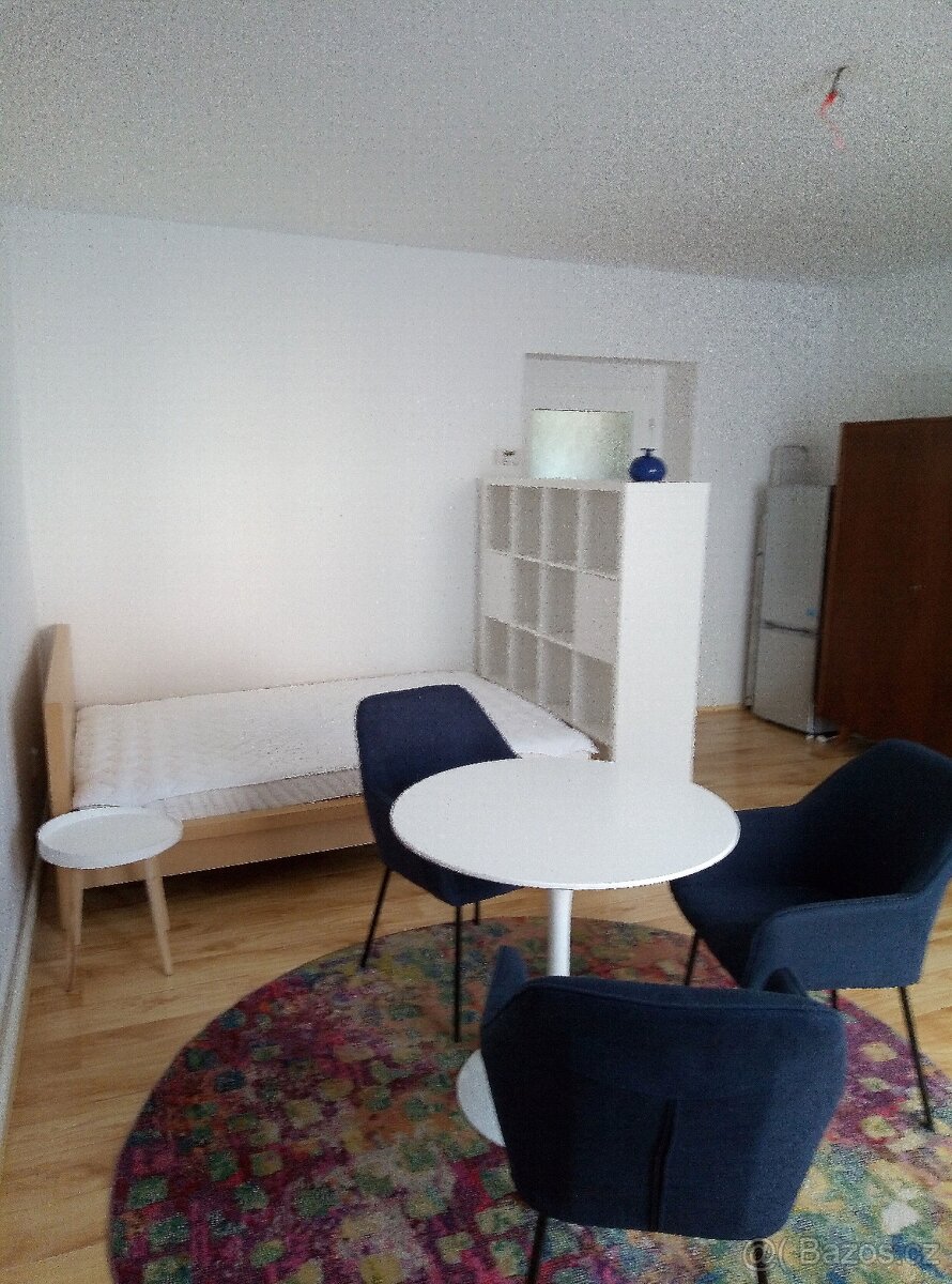 Dlouhodobý pronájem bytu - 4