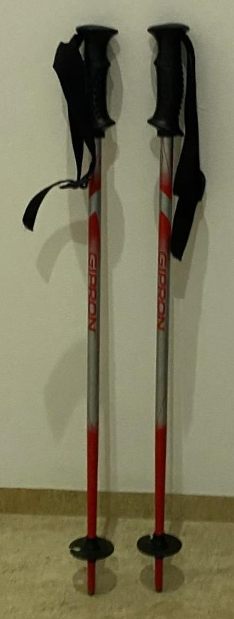 Dětské lyže DYNASTAR 80cm + hůlky GIPRON 70 (set) - 4