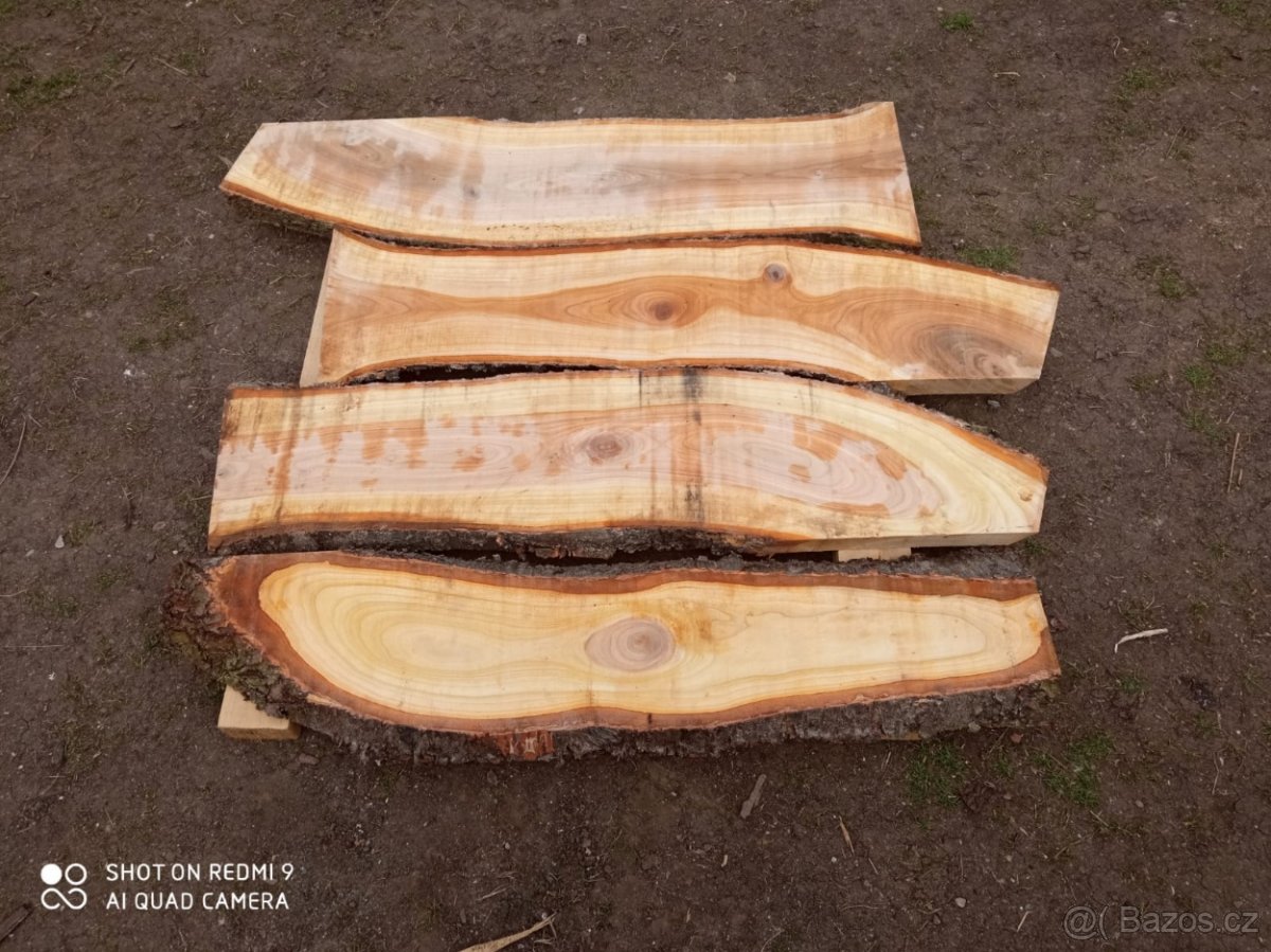 Fošny třešeň - 4