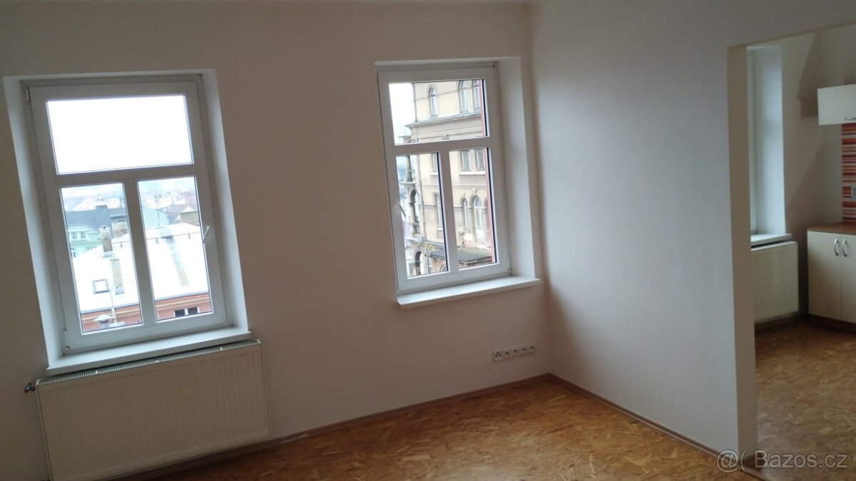 Pronajmu byt 2+1 - 4