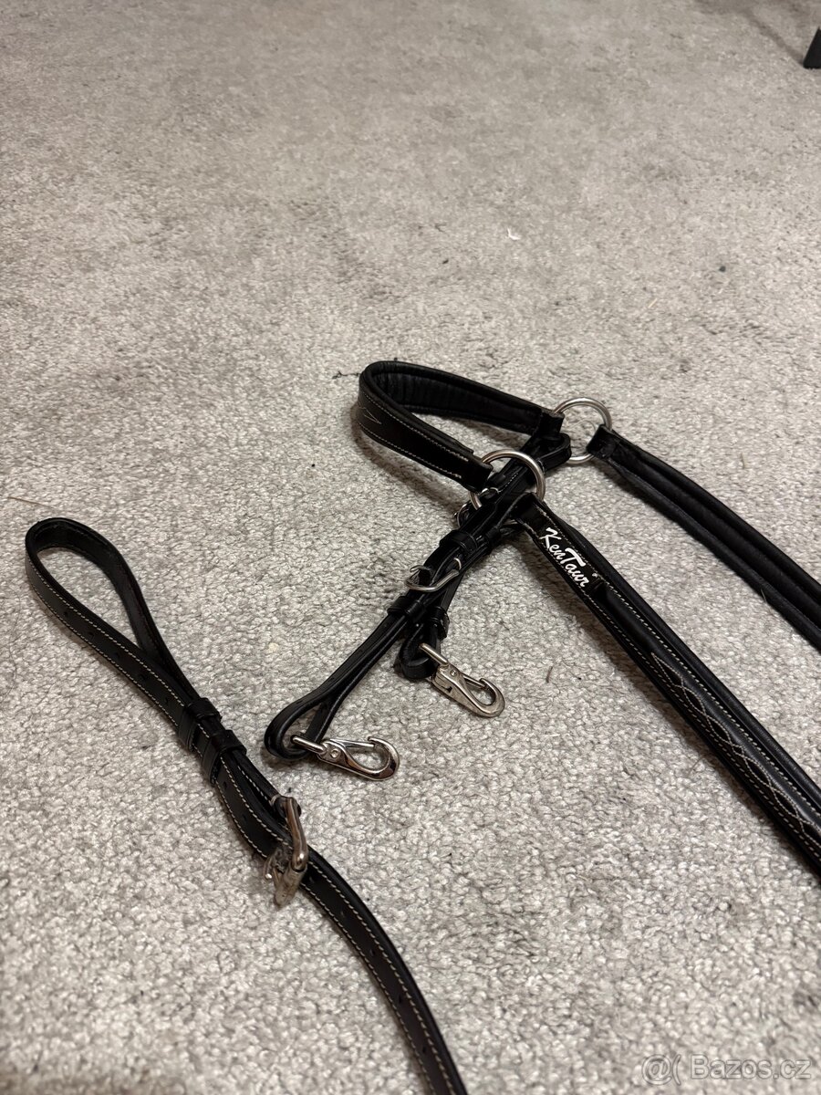 Poprsník Kentaur Arras - 4