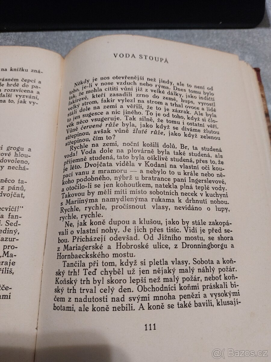 Karin Michaëlis – Děvče se střepinami I. - 4